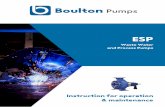 Boulton pumps