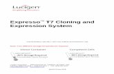 Expresso T7 Cloning and Expression System