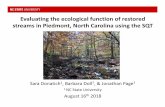 Evaluating the ecological function of restored streams in ...