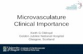 Microvasculature Clinical Importance