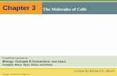 Chapter 3 The Molecules of Cells