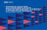 Assessing Informality and Vulnerability among ...