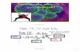TOC 71-72 Half Life - Weebly