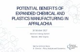 POTENTIAL BENEFITS OF EXPANDED CHEMICAL AND PLASTICS ...