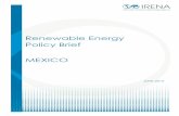 Renewable Energy Policy Brief: Mexico