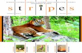BI-MONTHLY OUTREACH JOURNAL OF NATIONAL TIGER …