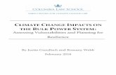 CLIMATE CHANGE IMPACTS ON THE BULK POWER SYSTEM