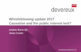 Whistleblowing update 2017 Causation and the public ...