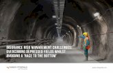 Insurance risk management challenges ... - PARKER FITZGERALD