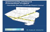 Community Violence Prevention Project
