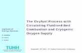 The Oxyfuel Process with Circulating Fluidised Bed ...