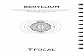 BERYLLIUM - Focal