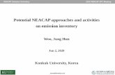 Potential NEACAP approaches and activities on emission ...
