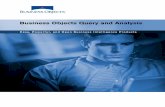 Brochure: Business Objects Query and Analysis