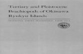 Tertiary and Pleistocene Brachiopods of Okinawa Ryukyu Islands