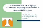 Fundamentals of Surgery - The University of Tennessee Graduate