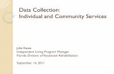 Data Collection: Individual and Community Services