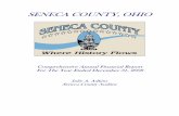 Seneca County, Ohio: Online Auditor
