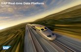 Sid Sipes' Overview of the SAP Real Time Data Platform