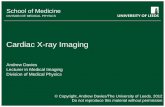 Cardiac X-ray Imaging