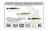 Ohio River Black Bass - Indiana