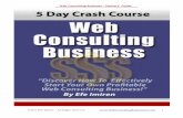 Web Consulting Business ’ Starters Guide