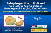 Safety Inspection of Fruit and Vegetables Using Optical Sensing