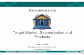 Target Market, Segmentation and Products - Management Consultants