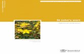 St John's wort - Department of Agriculture, Fisheries and Forestry