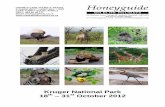 Kruger National Park - Honeyguide Wildlife Holidays