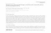 Diagnosis, Histopathologic and Genetic Classification of Uveal Melanoma