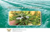 Rosemary production - Minister of Agriculture, Forestry and Fisheries