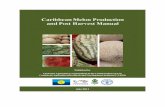 Caribbean Melon Production and - Caribbean Agricultural Research