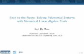Back to the Roots: Solving Polynomial Systems with Numerical