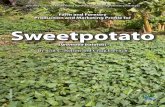Farm and Forestry Production and Marketing Profile for Sweetpotato