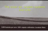The cover up: organic systems and soils