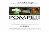 Pompeii - The Field Museum