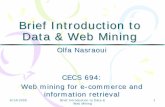 Brief Introduction to Data & Web Mining