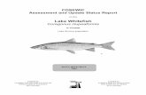 Lake Whitefish (Coregonus culpeaformis)