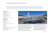 Producing Natural Gas from Coal - Schlumberger