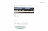 Total Dissolved Gas Effects on Fishes of the Lower Columbia River