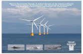 Marine Renewable Energy: A Global Review of the Extent of Marine