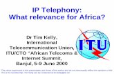 IP Telephony: What relevance for Africa?