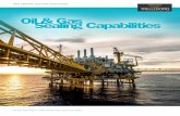 Oil & Gas sealing solutions