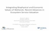 Integrating Biophysical and Economic Values of Wetlands: Recent