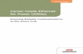 Carrier-Grade Ethernet for Power Utilities