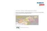 Surface Water Management Plan - London Borough of Richmond upon Thames