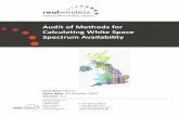 Audit of Methods for Calculating White Space Spectrum Availability