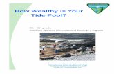 How Wealthy is Your Tide Pool?
