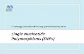 Single Nucleotide Polymorphisms (SNPs) - Projects at NFSTC.org